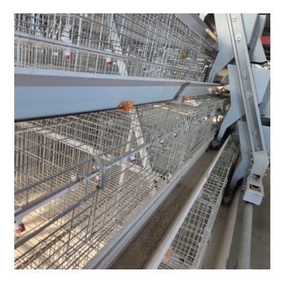 Hot Galvanized A Type 3 / 4 tier Chicken Cage Layer Poultry For Farming Equipment