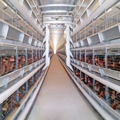Poultry Battery Cage Chicken Raising Equipment H Type Laying Hens Poultry Chicken Cage For Layers