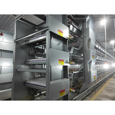 15-20 Years Life Time H Type Chicken Cage For Poultry Farming Equipment