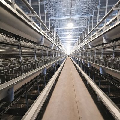 Hot Dip Galvanized H-type laag kooi Hoge capaciteit geautomatiseerde pluimvee kooi met automatische voeding voor grote pluimveebedrijven