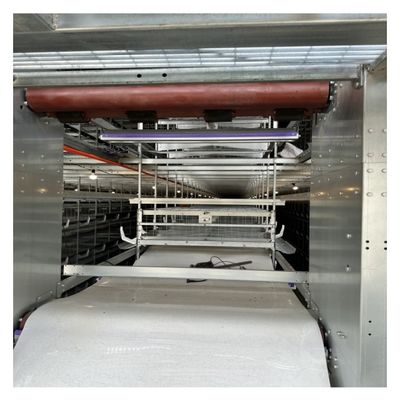 Layer Cages Poultry Farm Battery Cages Chickens Automatic Layer Chicken Cage For 20000 Birds