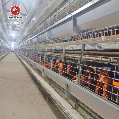 Hot-Dip Galvanized Fully Automated 3-8 Tier Layer Cage with Automatic Egg Collection System
