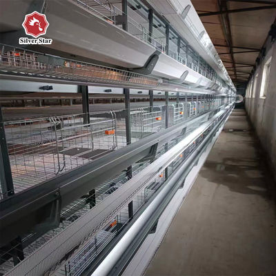 Hot-Dip Galvanized Fully Automated 3-8 Tier Layer Cage with Automatic Egg Collection System