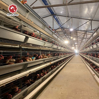Gepersonaliseerd H-type laag kippenbatterij kooi systeem voor hoogopbrengende pluimveehouderij
