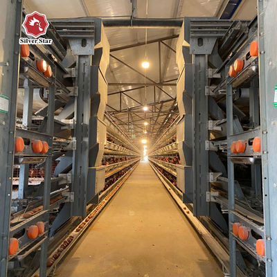 H-Type Automatic Battery Cage System voor Layer & Broiler.