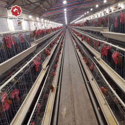 Thermisch verzinkt staal Automatisch voer- en drinksysteem voor pluimvee met hoge capaciteit voor laagkippenkooi