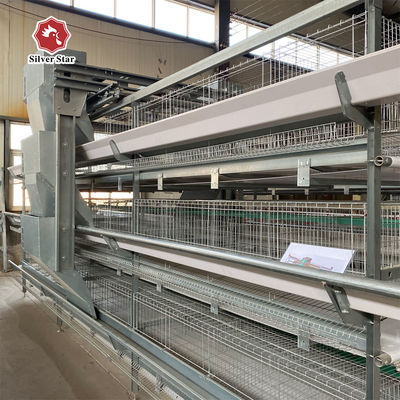 H-Type Battery Cage System with Hot-Dip Galvanized Frame Automatic Feeding Trough Stackable Modular Design for Commercial Poultry Farms