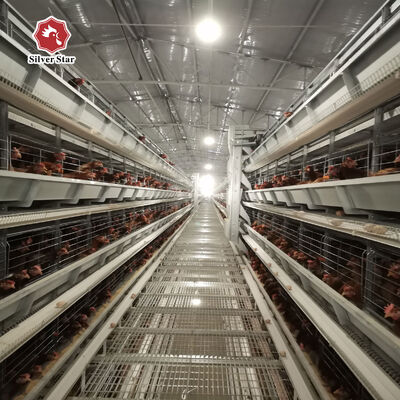 H-type laag kippenkooi met 20 jaar levensduur voor 54-216 kippen in 3-8 lagen