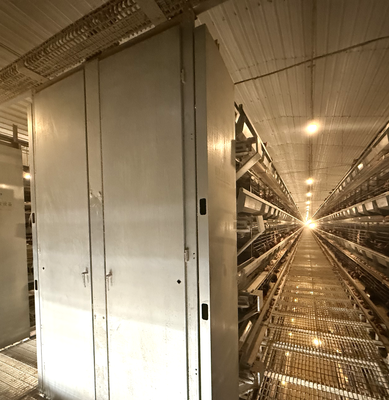 Heavy Battery Chicken Cage Designed to Optimize Egg Production and Enhance Poultry Health in Commercial Farms