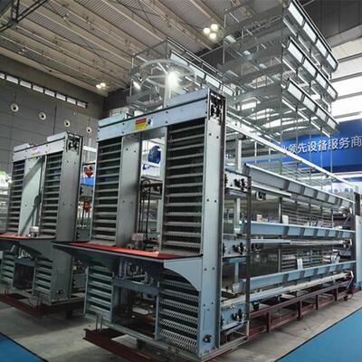H-type automatisch broilerbatterijkooi systeem met warmdipp galvanisatie en stapelbaar modulair ontwerp voor commerciële vleeskippenboerderijen
