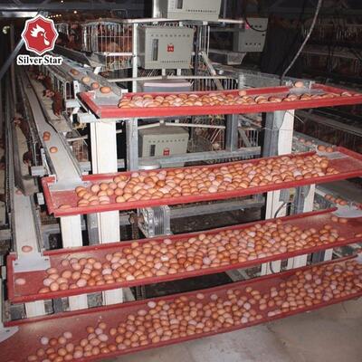 Hot-Dip gegalvaniseerd 3-tier A-type laag batterij kooi systeem met automatische ei-verzameling voor pluimveehouderij