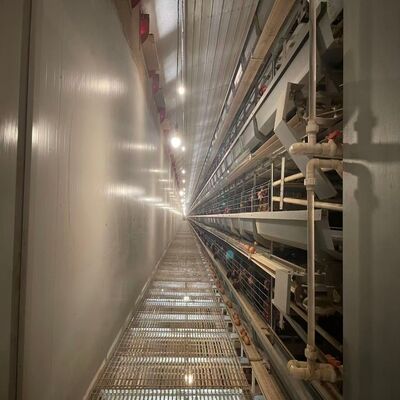 Batterij kippenkooien Corrosiebestendige duurzame pluimvee-apparatuur geschikt voor grote bedrijven