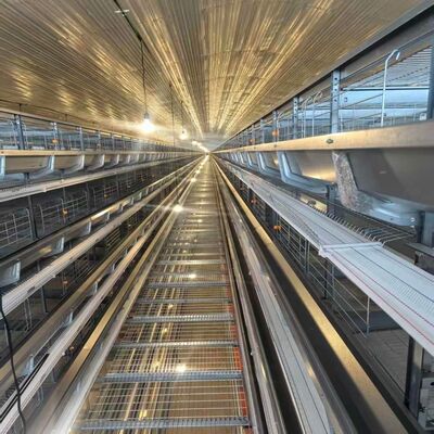 4 Tiers Layer Chicken Cage met voeders geschikt voor intensieve laag kippenhuisvesting en gestroomlijnde voedingsoperaties