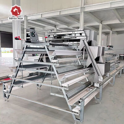 Hot-Dip Galvanized 3 Tiers A-Type Layer Battery Cage System with Automatic Egg Collecting for Poultry Farming