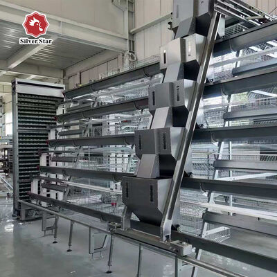 Hot-Dip gegalvaniseerde type A broiler kippenkooi met automatische mestverwijdering en hoge dichtheid voor pluimveehouderijen