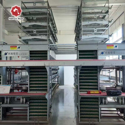 H-type automatisch laagbatterijkooi systeem met warm gegalvaniseerd staal voor geautomatiseerde eierencollectie en 15-20 jaar levensduur