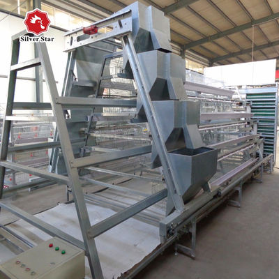 A Type Layer Egg Laying Chicken Cage 160 Birds With Automatic Feeding System