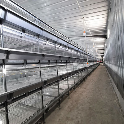 SONCAP Accredited 380V 50HZ Automatic Broiler Equipment For Chicken House