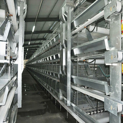 H-type automatisch batterijkooi systeem met warmdipp galvanisatie en stapelbaar modulair ontwerp voor commerciële pluimveehouderij