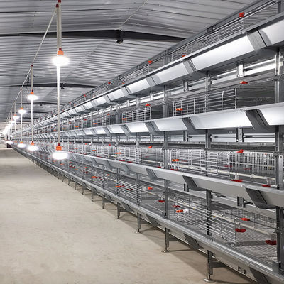 Volledig Automatisch H-Type Broiler Kippen Kooi Systeem met Automatische Voeding & Reiniging voor Hoge Dichtheid Commerciële Vleeskuikenboerderijen