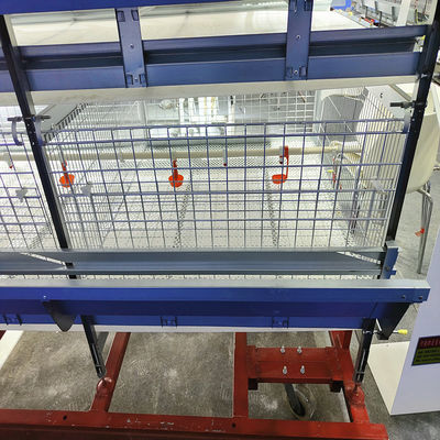 Automated H-Type Broiler Cage System Hot-Dip Galvanized High-Density Commercial Poultry Farming Equipment