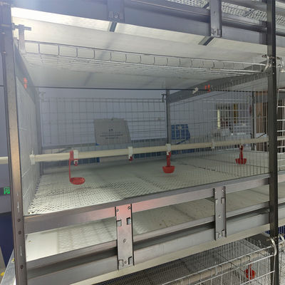 Volledig Automatisch H-Type Vleeskuikenbroedkooisysteem voor Dichte Commerciële Pluimveehouderij met Heet-Verzinkt Staal