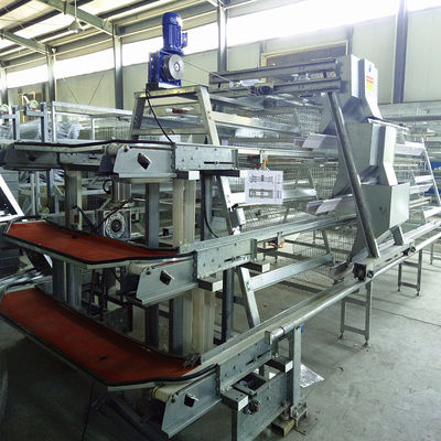 Galvanized Poultry Hen Chicken Cage And Water System For 10000 Birds Poultry Farm Design Layout