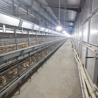 SONCAP Accredited 380V 50HZ Automatic Broiler Equipment For Chicken House
