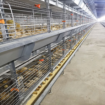 SONCAP Accredited 380V 50HZ Automatic Broiler Equipment For Chicken House