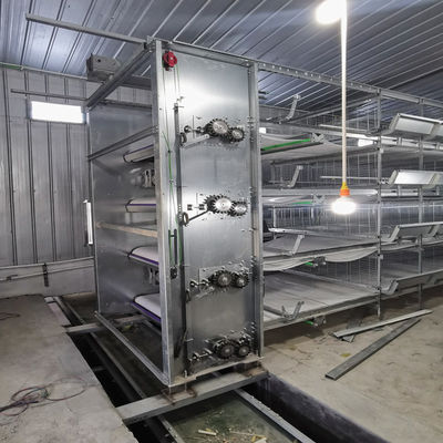 H-type automatisch broilerbatterijkooien systeem met warmdippen galvanisatie en automatische voedingsbak voor pluimveehouderijen met een hoge dichtheid