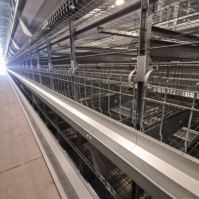 Fabrieksdirecte H-Type Broiler Batterijkooisysteem met Thermisch Verzinken, Zachte Plastic Matten & Automatische PP-Riem Mestverwijdering