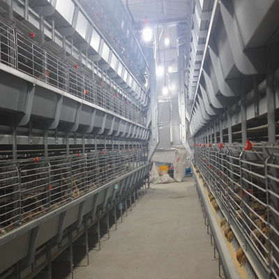 H-type automatisch laagbatterijkooi systeem met 15-20 jaar levensduur voor commerciële pluimveehouderij - volledig geautomatiseerd en warm gegalvaniseerd