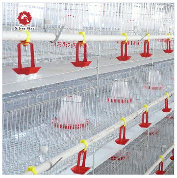 A-type broilerbatterijkooi systeem voor pluimveebedrijven Hot-dip gegalvaniseerd A-type broilerkooi fabrikant