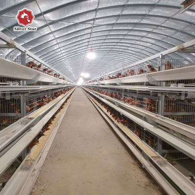 Commerciële H-type laagkooi van betrouwbare leverancier en fabrikant.