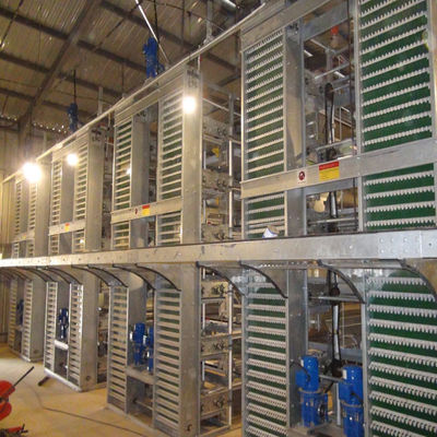 Volledig Automatisch H-Type Broederij Batterijkooisysteem met Warmbad Verzinkt Frame voor Commerciële Vleeskuikenboerderijen met Hoge Dichtheid