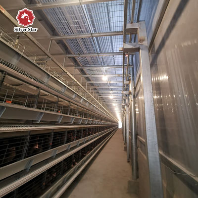 Turnkey H-Type Layer Battery Cage Project Oplossing voor meer dan 50.000 kippenboerderijen