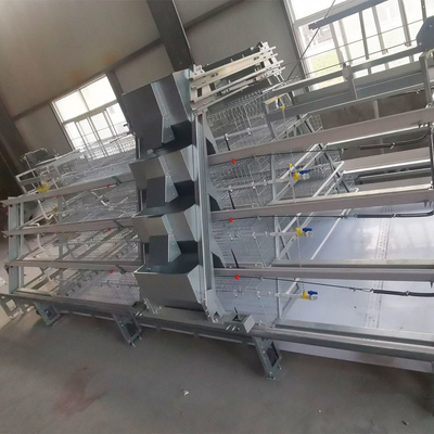 Warm gegalvaniseerd A-type broiler baby kippenkooi voor automatische fokkerij