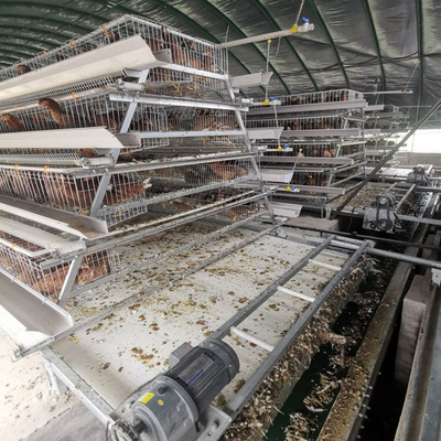 96 Birds Chicken Farm Poultry Cage With Ventilation Cooling System